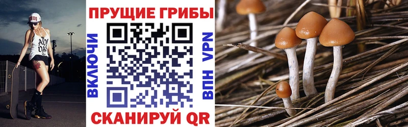 Галлюциногенные грибы Cubensis  Фокино 
