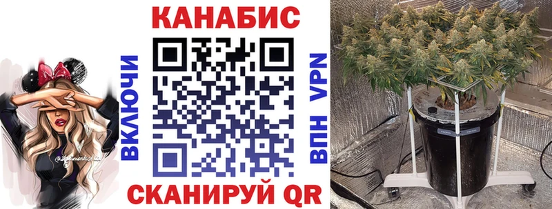 Каннабис семена  Фокино 